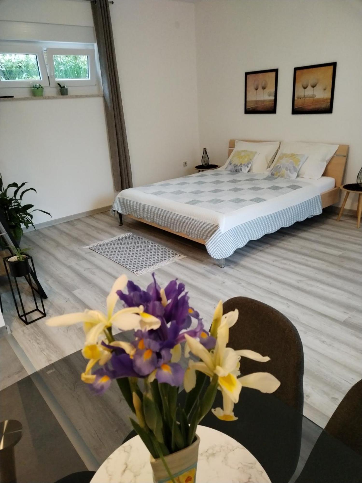 Apartments Mirijana 普拉 外观 照片